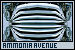 Ammonia Avenue